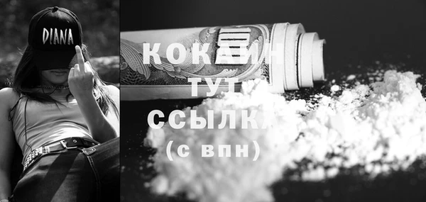 гашик Богданович