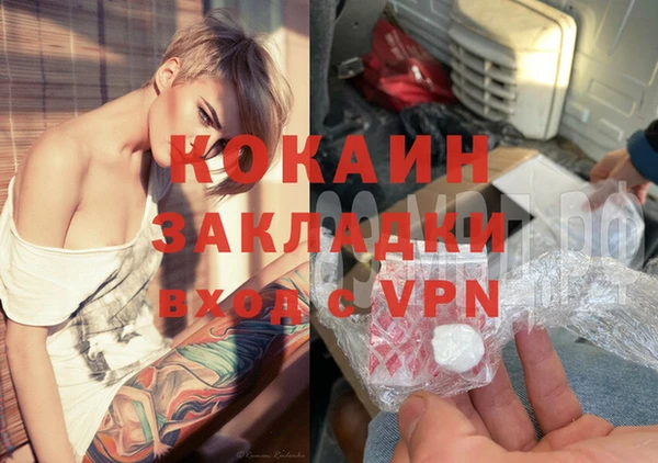 гашик Богданович