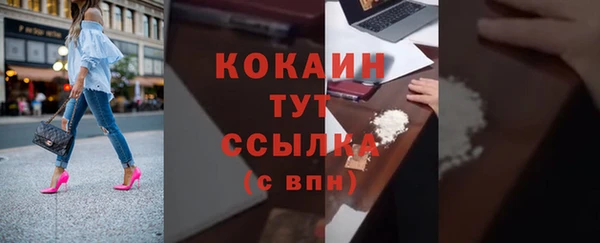 гашик Богданович