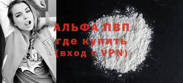 гашик Богданович