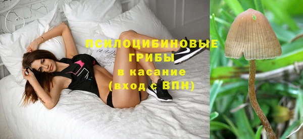 прущая мука Богородицк